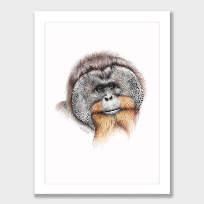 Orangutan Print