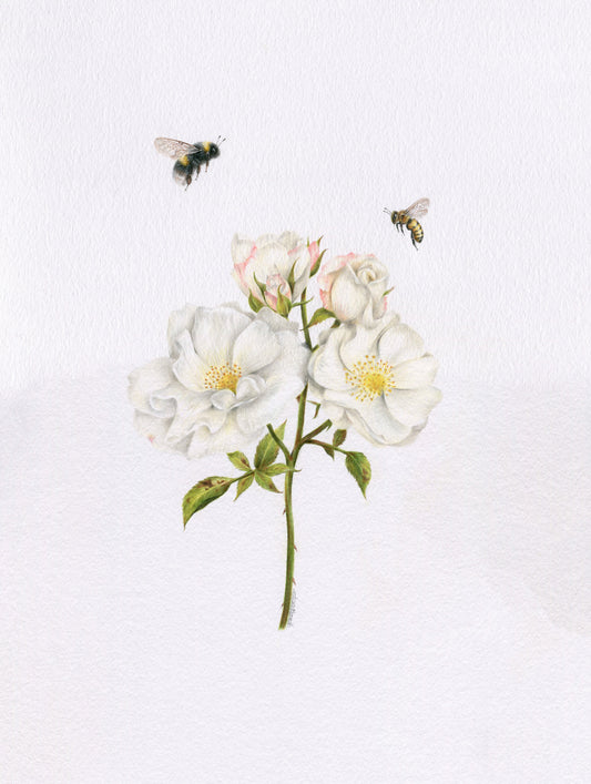Original 'Roses and Bees'