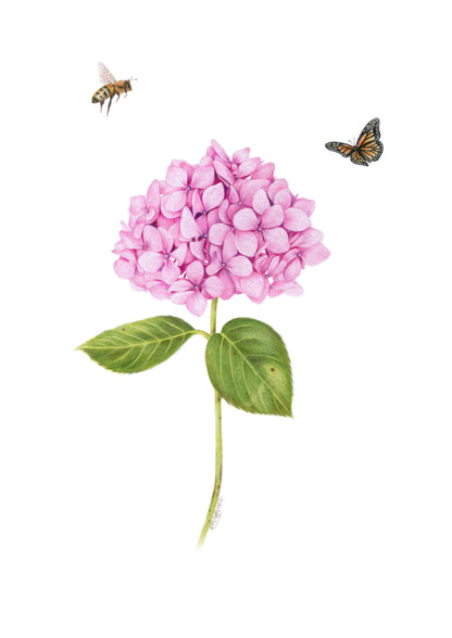 Pink Hydrangea, Bee and Butterfly Greeting Card