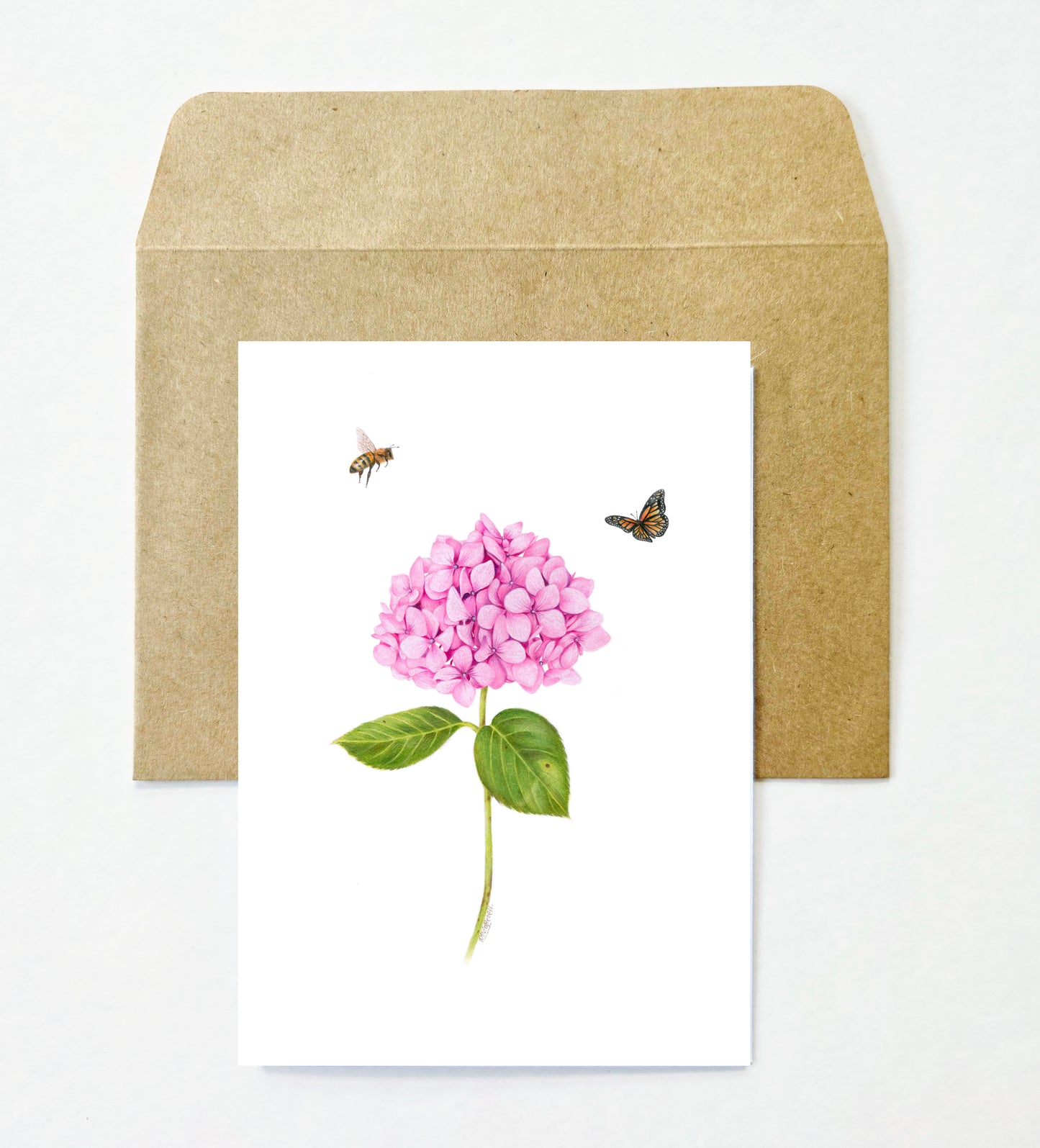 Flowers and Bees 12 Pack Greeting Card set