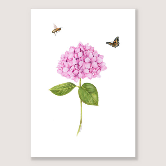 Pink Hydrangea, Bee and Butterfly Print