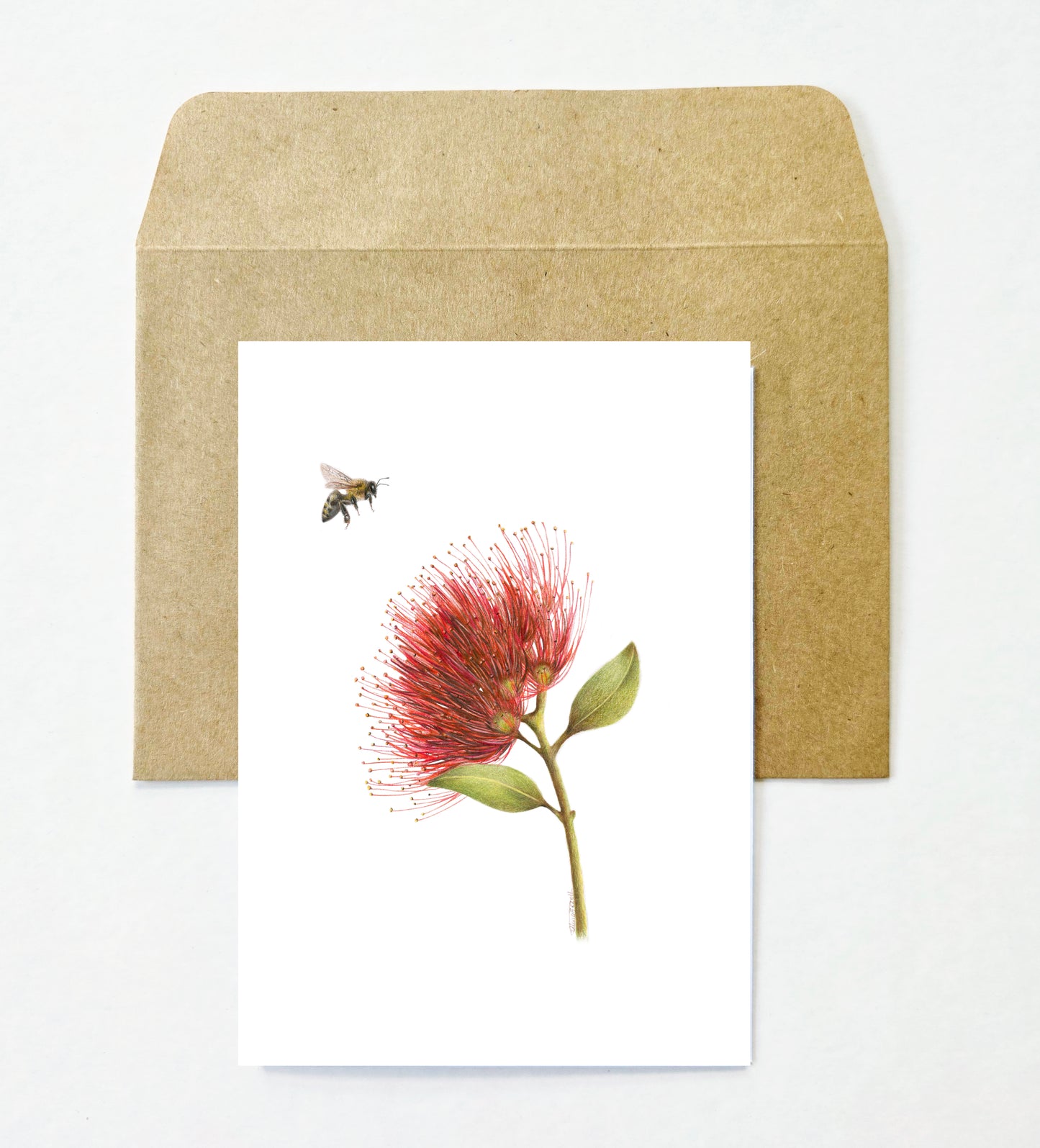 Flowers and Bees 12 Pack Greeting Card set