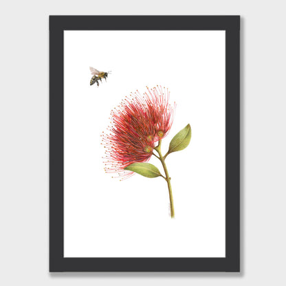 Pōhutukawa and Bee Print