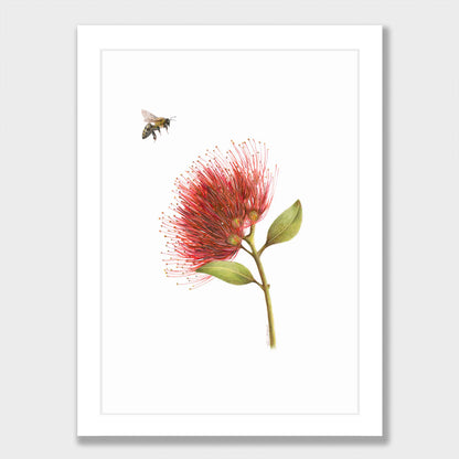 Pōhutukawa and Bee Print
