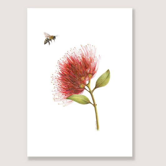 SALE - Pohutukawa and Bee A4