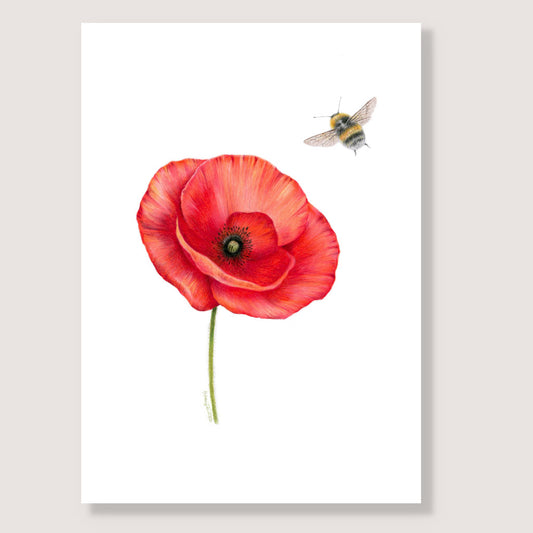 Poppy and Bee Print