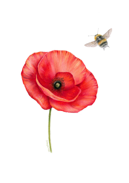 PREORDER - Poppy and Bee Greeting Card