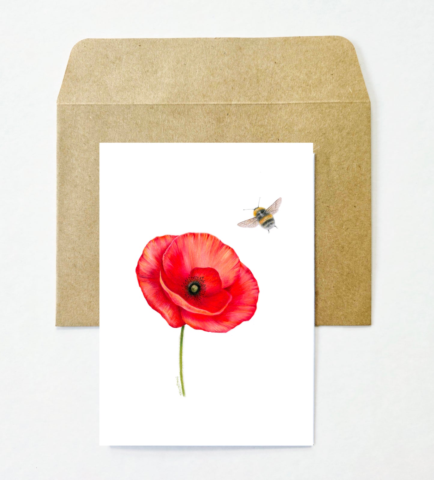 Flowers and Bees 12 Pack Greeting Card set