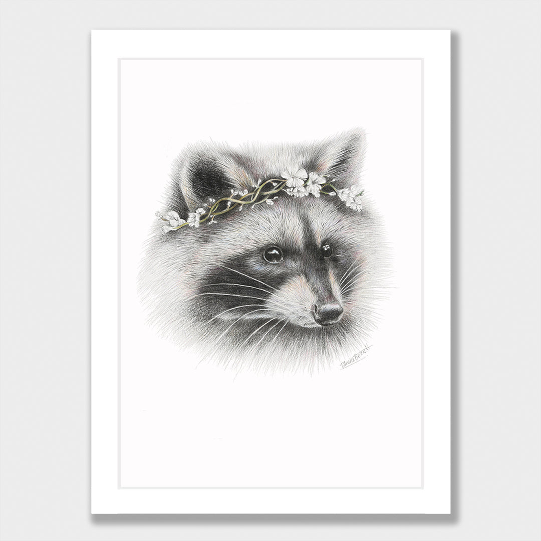 Raccoon Print