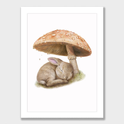 Rainy Woodland Hideaway Print
