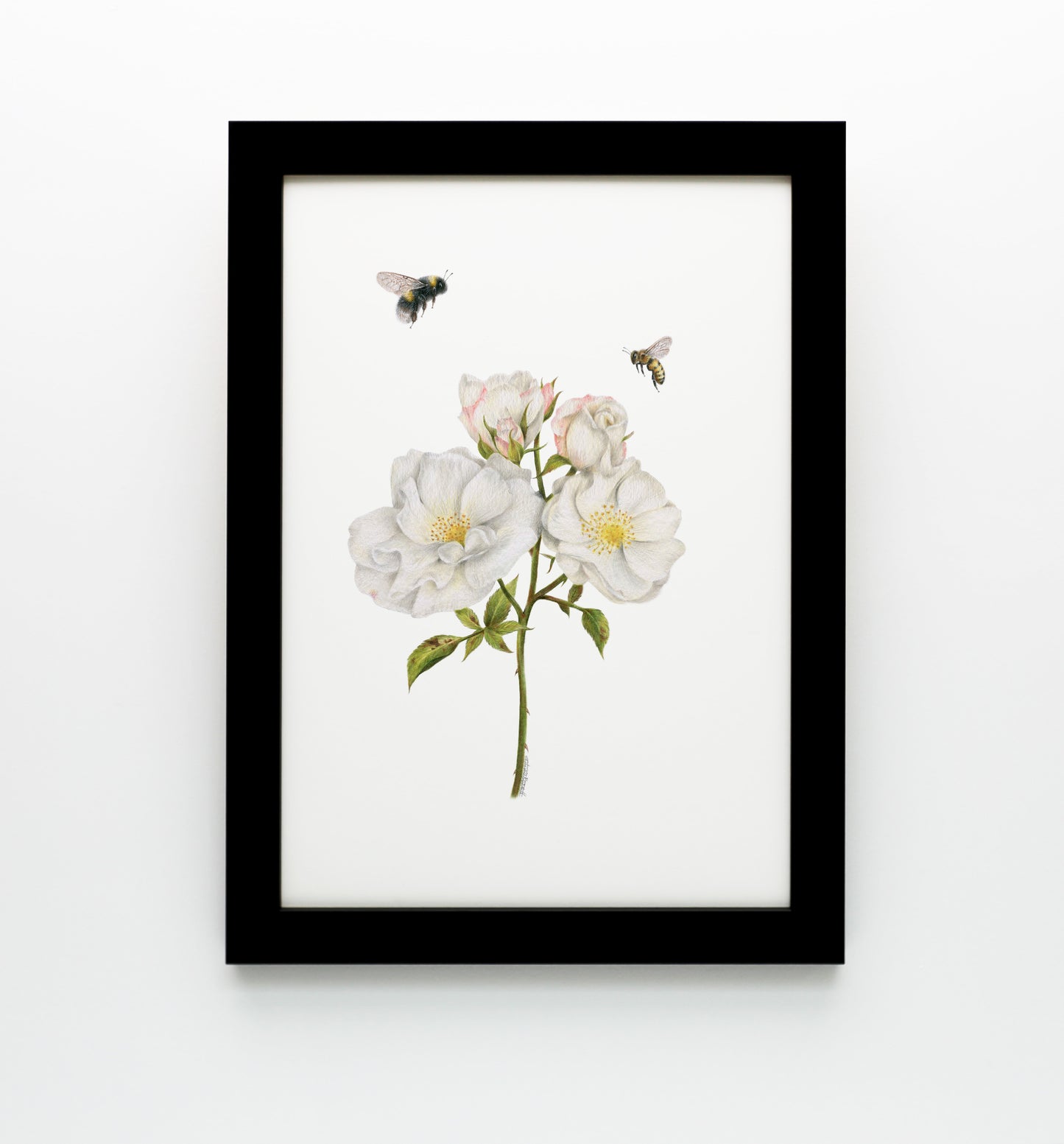 Roses and Bees Print