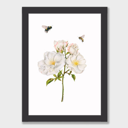 Roses and Bees Print