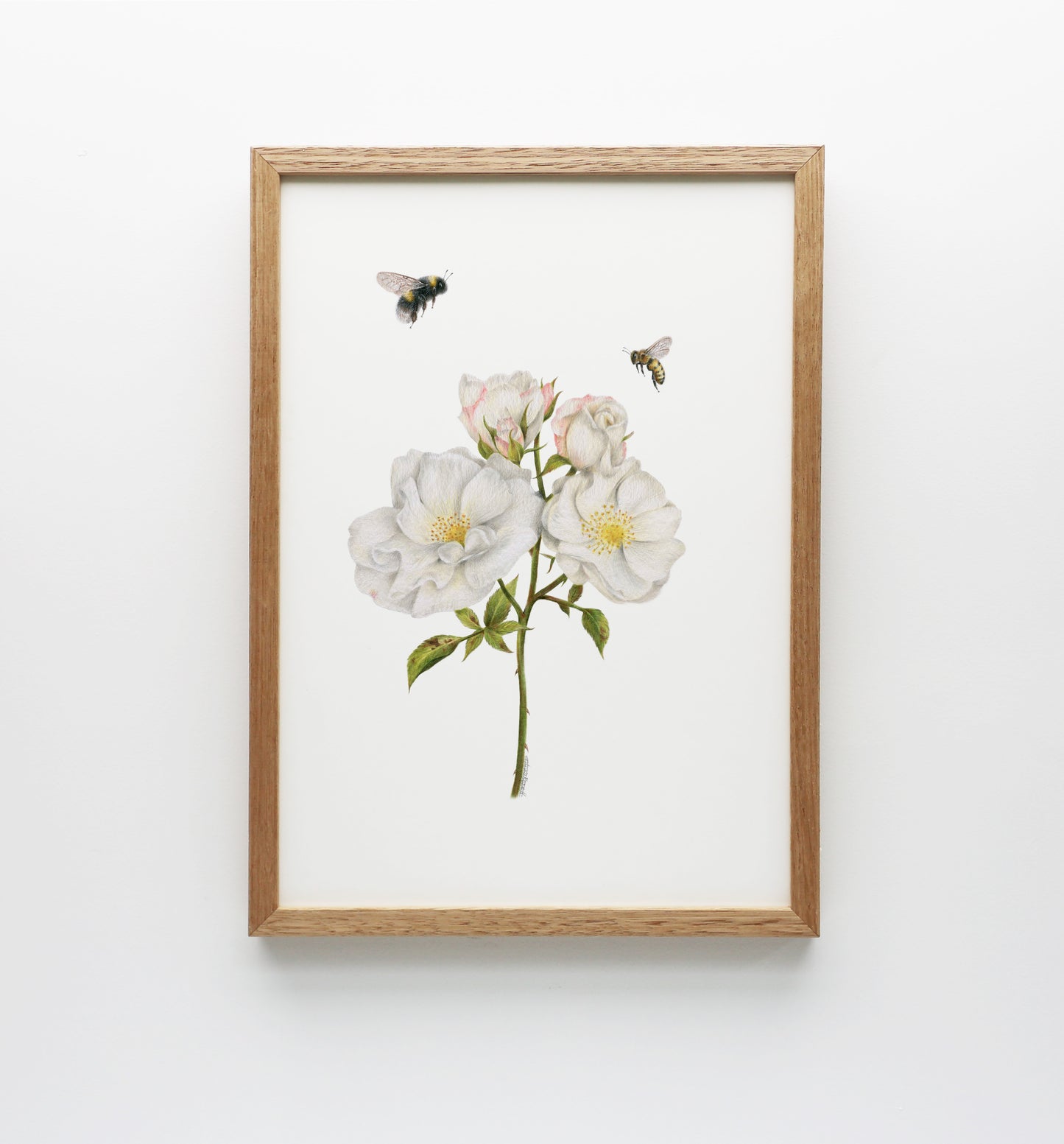 Roses and Bees Print