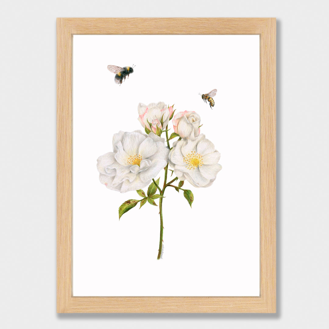 Roses and Bees Print