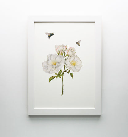 Roses and Bees Print