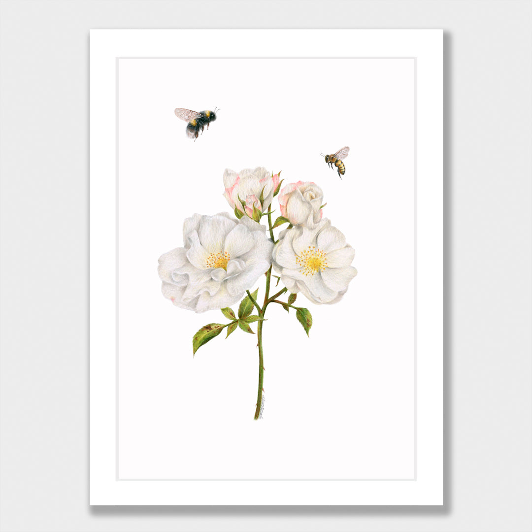 Roses and Bees Print