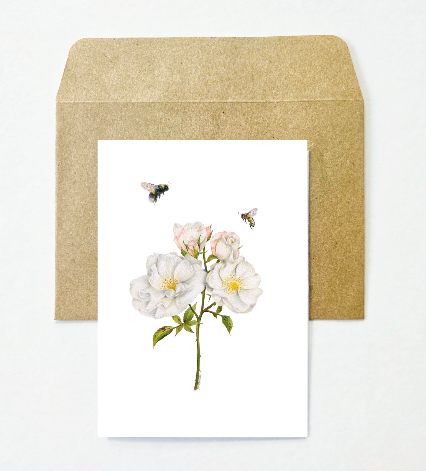 Flowers and Bees 12 Pack Greeting Card set