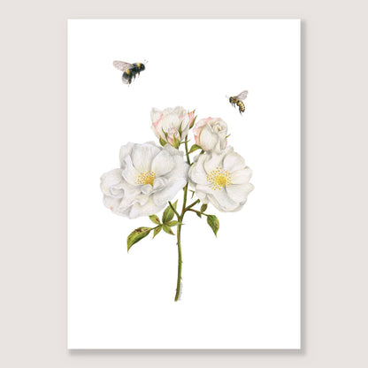 Roses and Bees Print