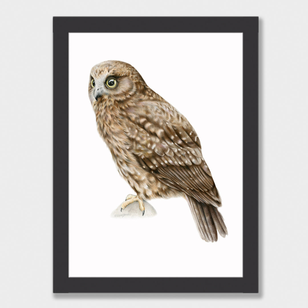 Ruru Print