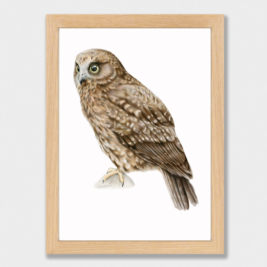 Ruru Print