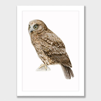 Ruru Print