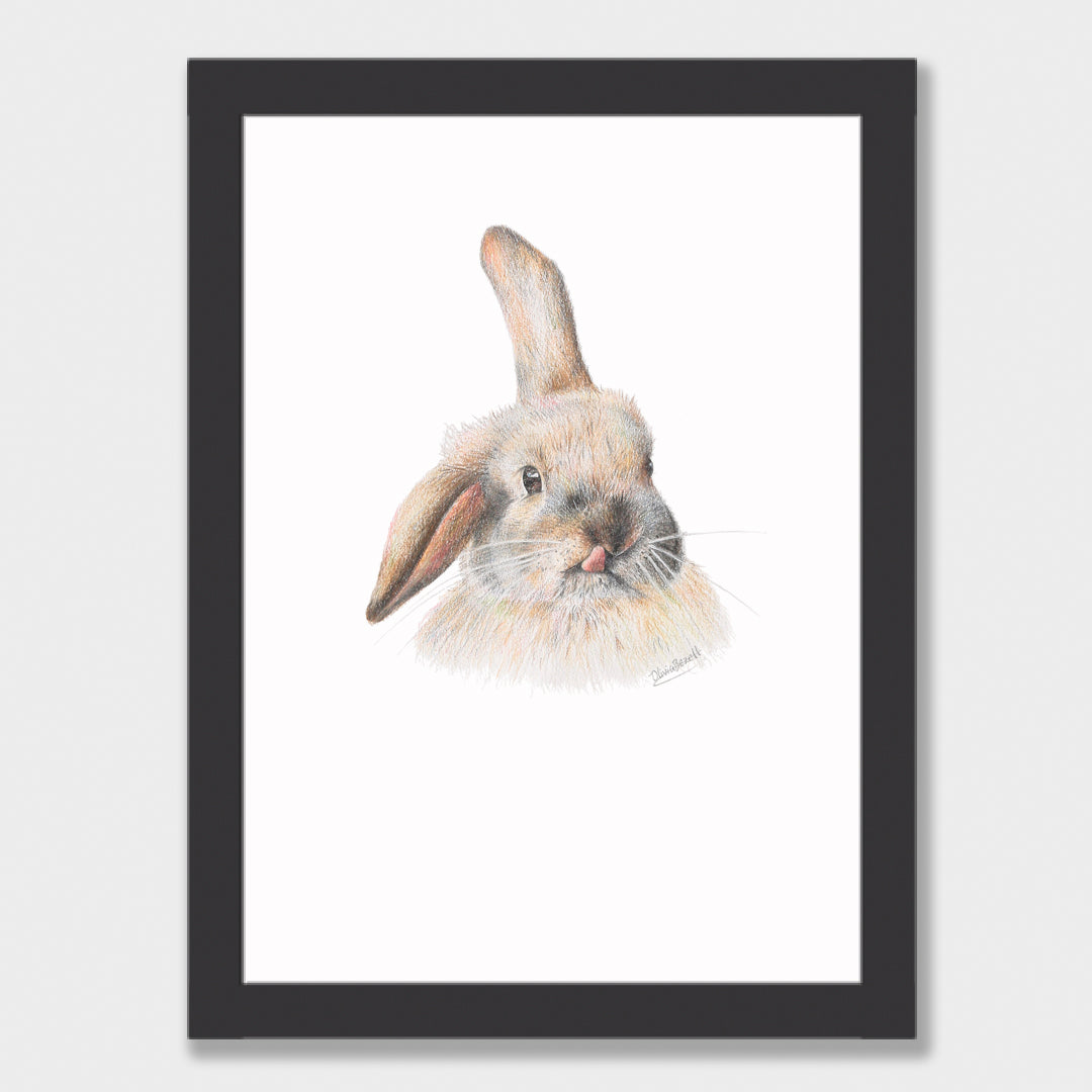 Silly Bunny Print