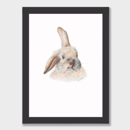 Silly Bunny Print