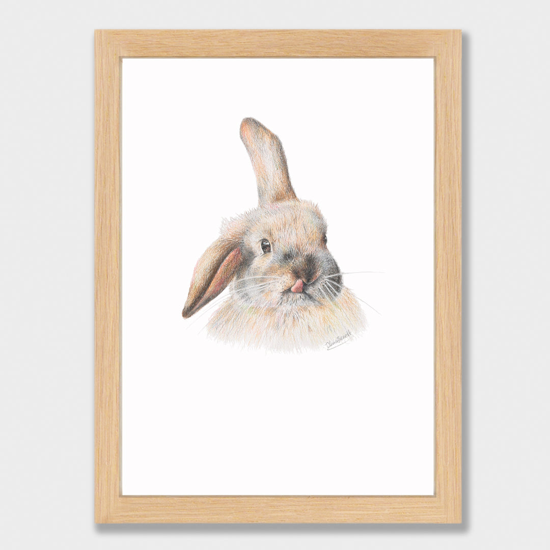 Silly Bunny Print