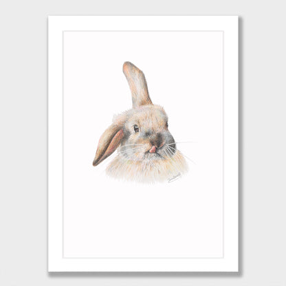 Silly Bunny Print