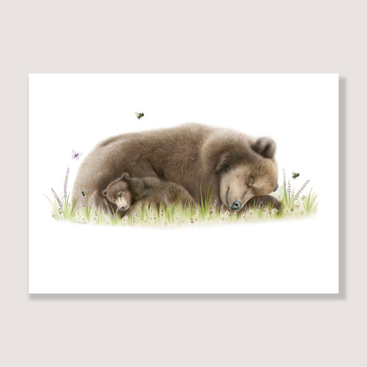 SALE -  Sleeping Bears print A5