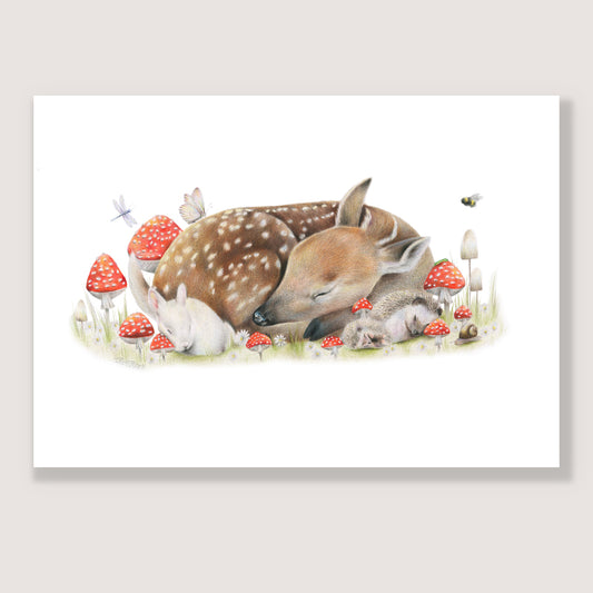 SALE - Sleeping Doe print A4