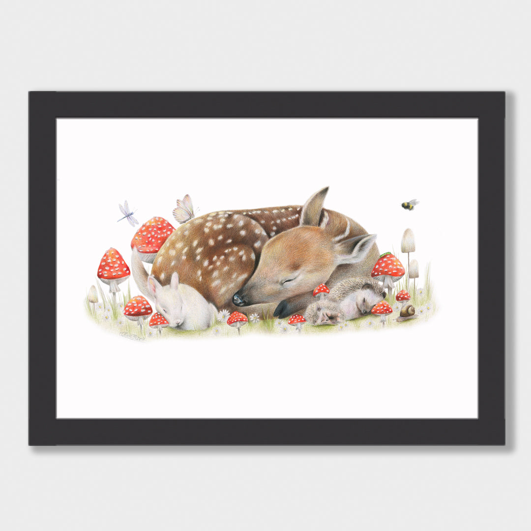 Sleeping Doe Print