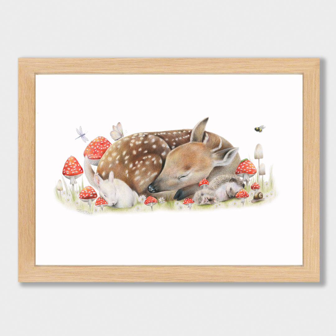 Sleeping Doe Print
