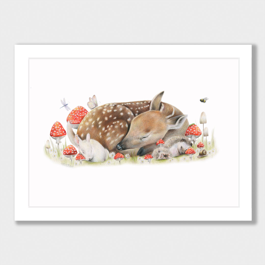 Sleeping Doe Print