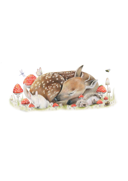 Sleeping Doe Greeting Card