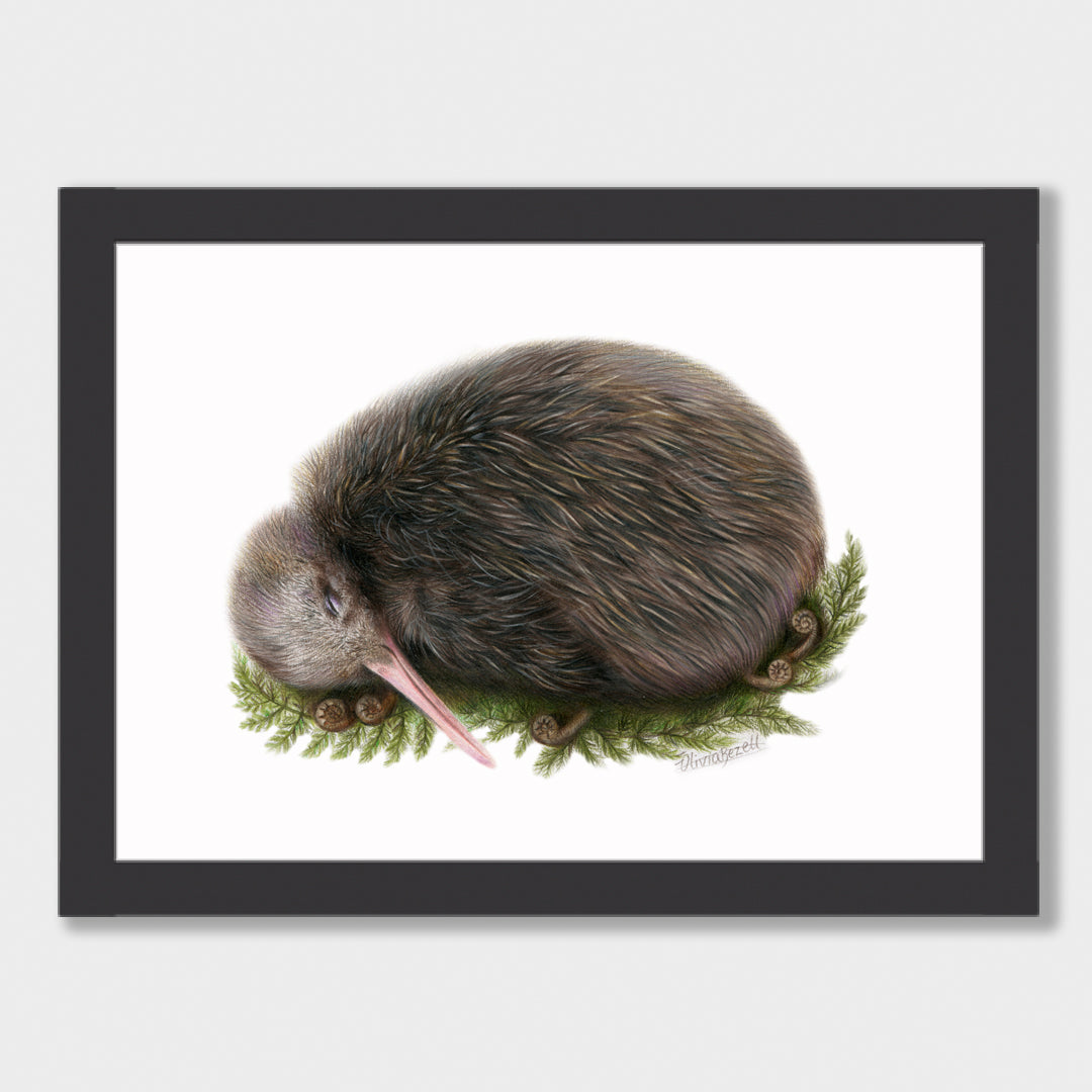 Sleeping Kiwi Print