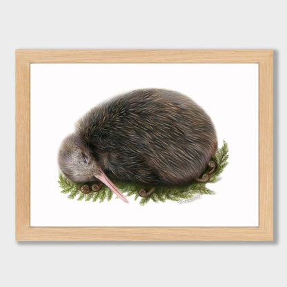 Sleeping Kiwi Print