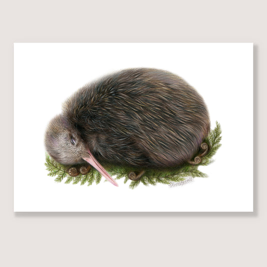 SALE - Sleeping Kiwi print A4