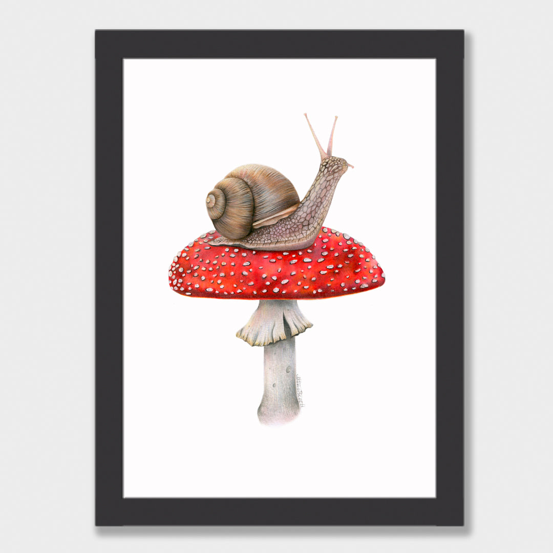 Snail on Mushroom Print