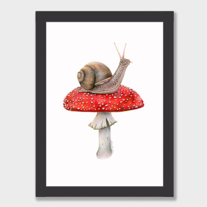 Snail on Mushroom Print
