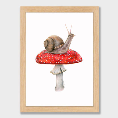 Snail on Mushroom Print
