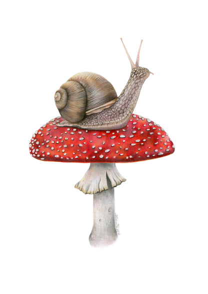 Snail on Mushroom Greeting Card