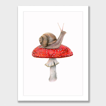 Snail on Mushroom Print