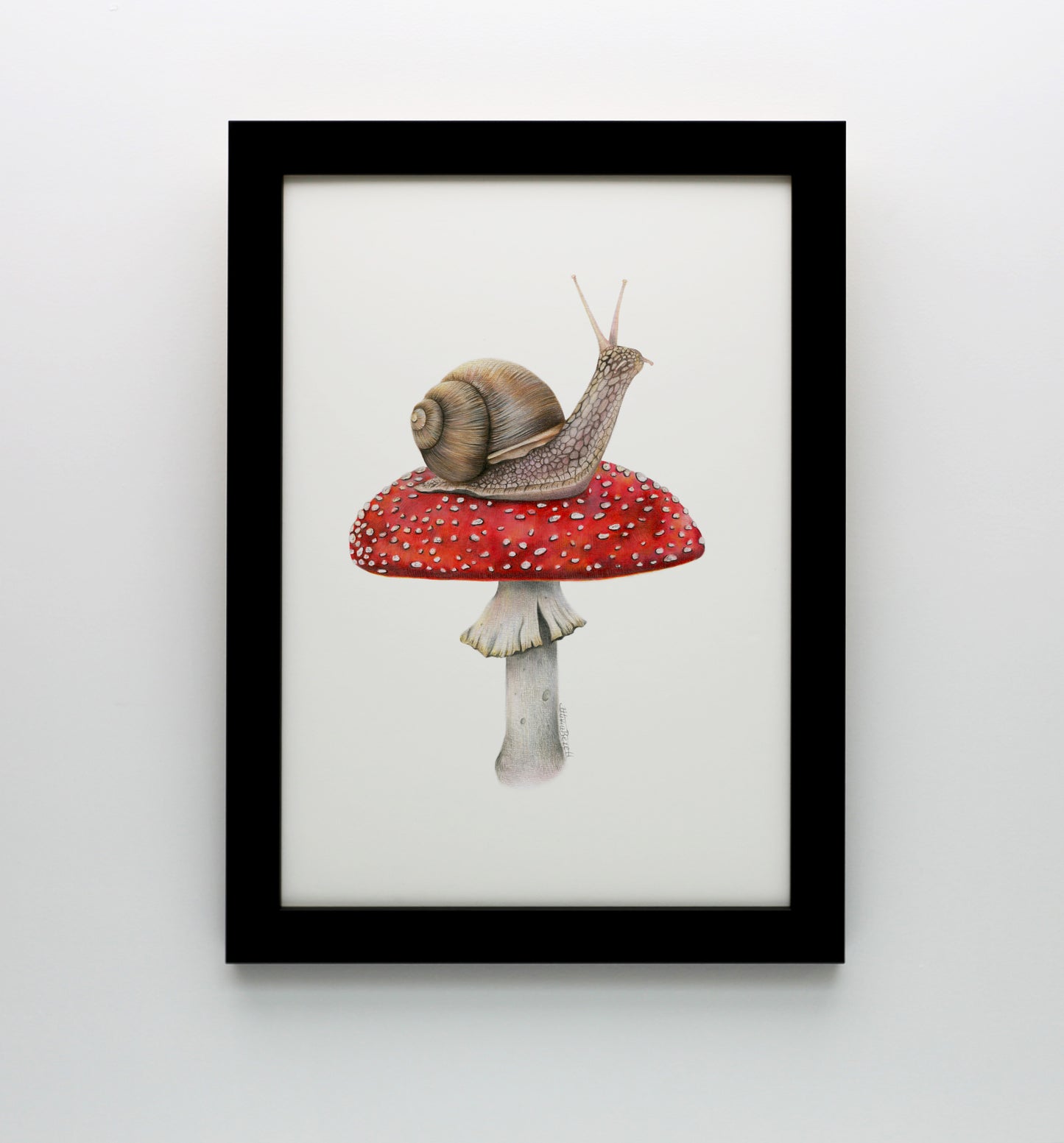 Snail on Mushroom Print