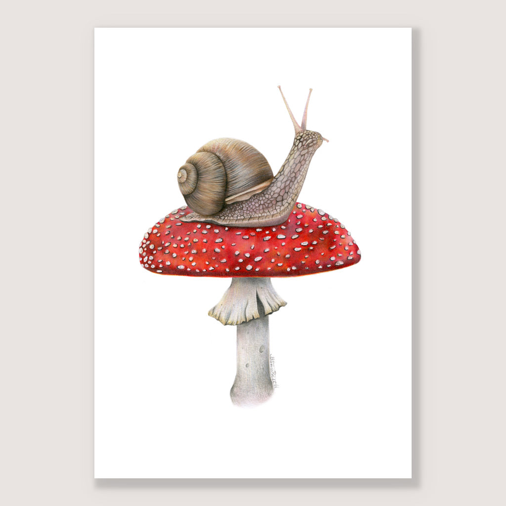 Snail on Mushroom Print