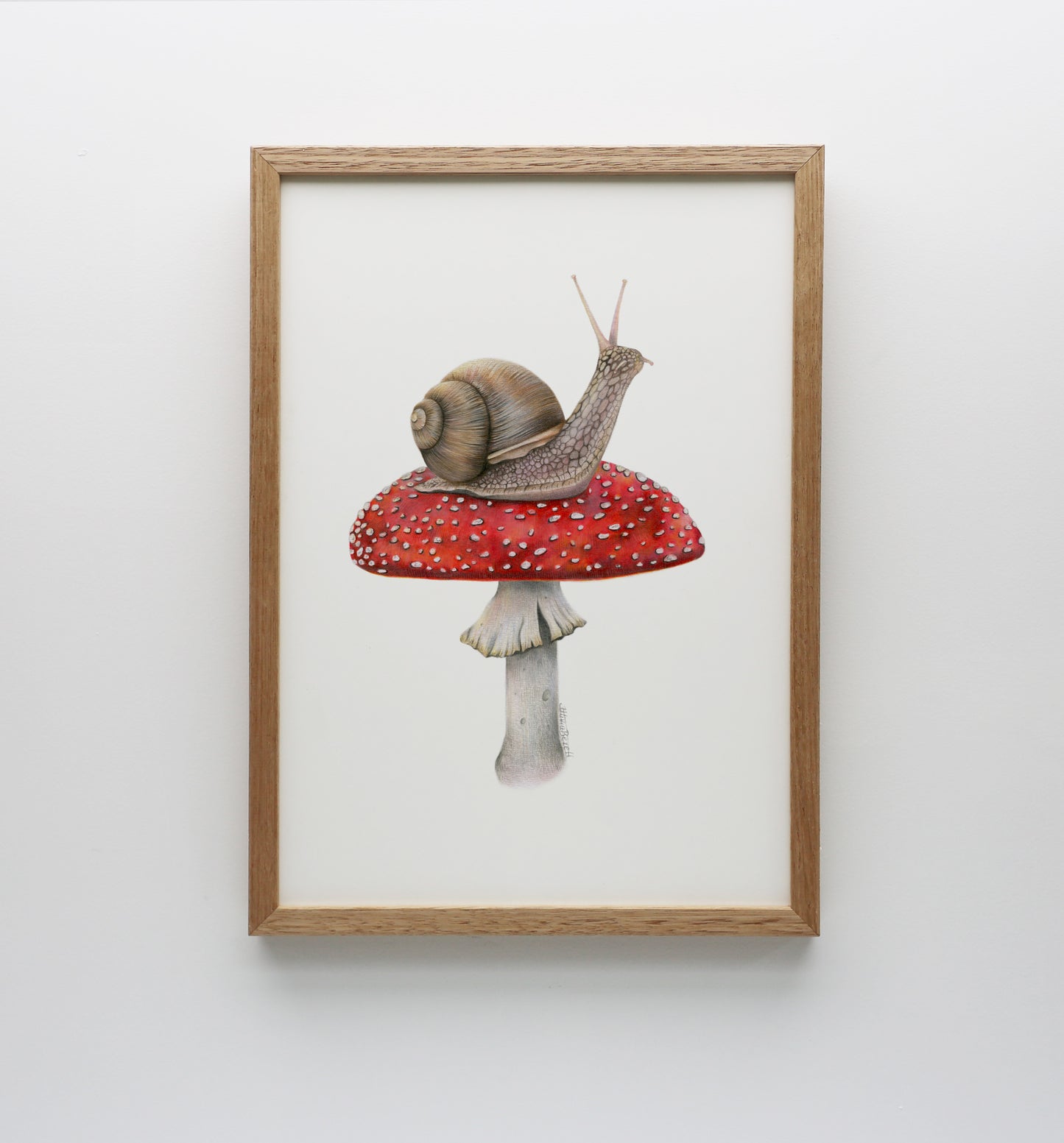 Snail on Mushroom Print