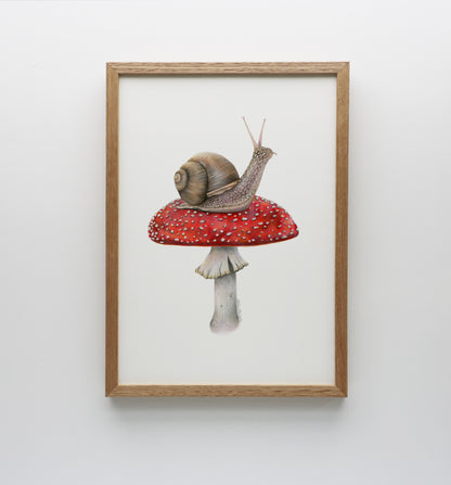 Snail on Mushroom Print