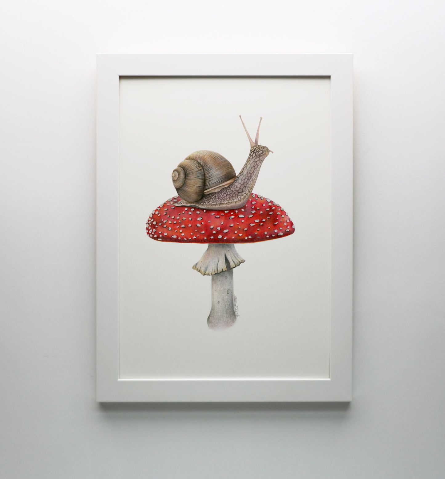 Snail on Mushroom Print