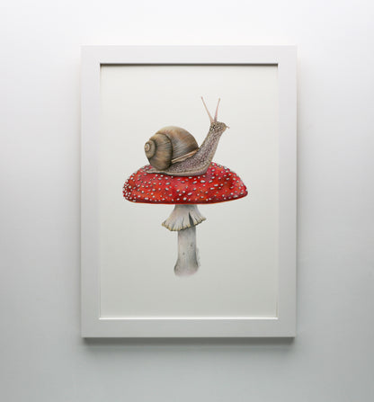 Snail on Mushroom Print