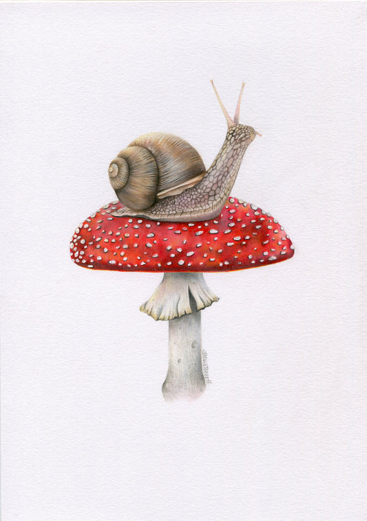 Original 'Snail on Mushroom'